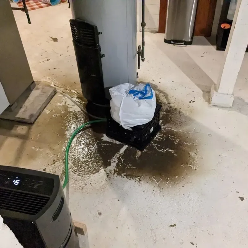 Sewage Backup Cleanup Service in Willow Creek, CA
